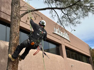 Clearance trimming near structure Parker