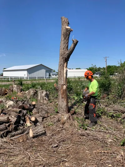 Farr Arbor - Quality Tree Service